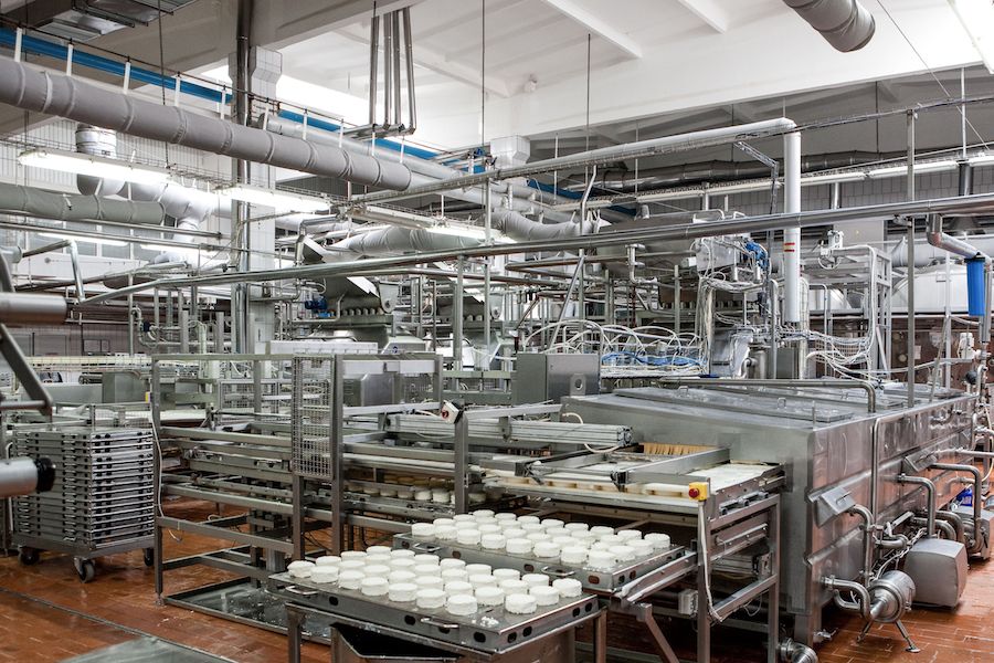 Food Plant Installations